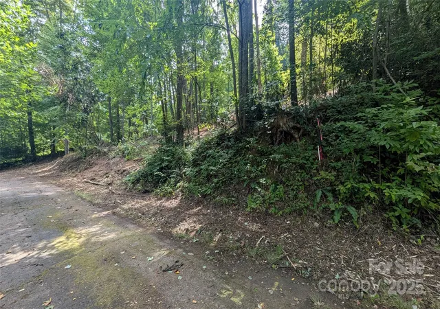 Photo 3 of Land for sale at 707 Apple Tree Ct #32, Waynesville, NC 28786 | MLS# 4294363 | Listing updated on 2026-07-30