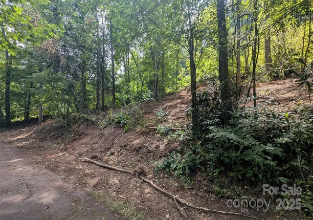 Photo 4 of Land for sale at 707 Apple Tree Ct #32, Waynesville, NC 28786 | MLS# 4294363 | Listing updated on 2026-07-30