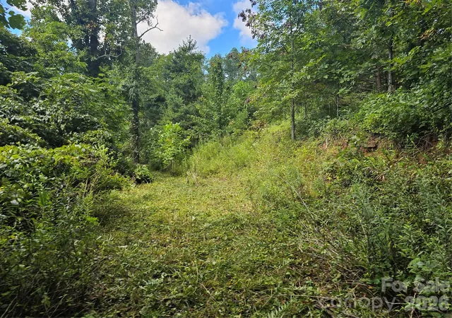 Photo 4 of Land for sale at 97 Destination Dr, Asheville, NC 28806 | MLS# 4294878 | Listing updated on 2026-10-09