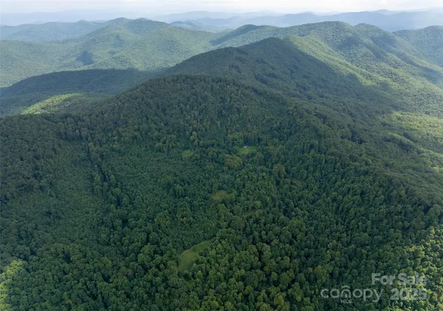 Photo 3 of Land for sale at 99999 Billy Cvs Rd, Candler, NC 28715 | MLS# 4295039 | Listing updated on 2026-07-09