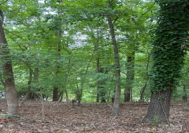 Photo 1 of Land for sale at 10046 Tepa Pl, Fort Mill, SC 29708 | MLS# 4295290 | Listing updated on 2026-08-25
