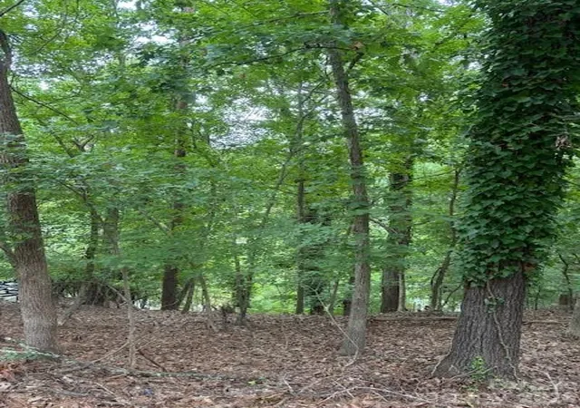 Photo 1 of Land for sale at 10045 Tepa Pl, Fort Mill, SC 29708 | MLS# 4295293 | Listing updated on 2026-10-08