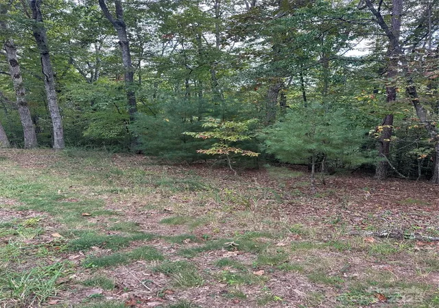 Photo 1 of Land for sale at 00 Pleasant Hl Rd, Franklin, NC 28734 | MLS# 4295590 | Listing updated on 2026-08-26