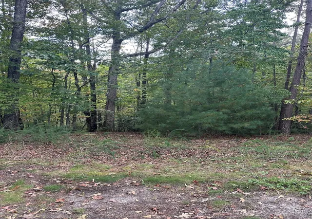 Photo 2 of Land for sale at 00 Pleasant Hl Rd, Franklin, NC 28734 | MLS# 4295590 | Listing updated on 2026-08-26