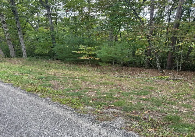 Photo 3 of Land for sale at 00 Pleasant Hl Rd, Franklin, NC 28734 | MLS# 4295590 | Listing updated on 2026-08-26