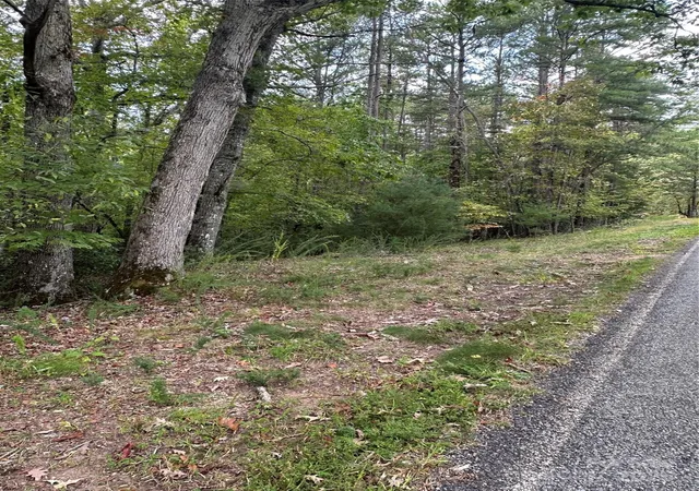 Photo 4 of Land for sale at 00 Pleasant Hl Rd, Franklin, NC 28734 | MLS# 4295590 | Listing updated on 2026-08-26