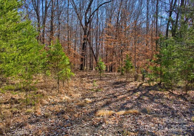 Photo 2 of Land for sale at 0 Cinnamon Ridge #404, Rutherfordton, NC 28139 | MLS# 4295591 | Listing updated on 2025-12-30