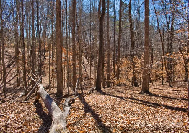 Photo 3 of Land for sale at 0 Cinnamon Ridge #404, Rutherfordton, NC 28139 | MLS# 4295591 | Listing updated on 2025-12-30