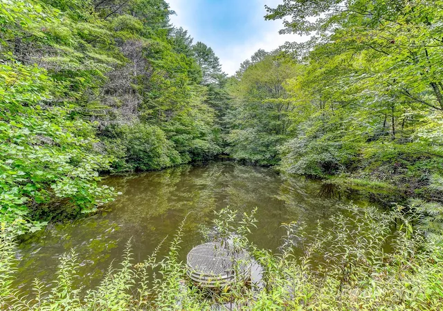 Photo 2 of Land for sale at 99999 Thunder Rd, Brevard, NC 28712 | MLS# 4295593 | Listing updated on 2026-08-13