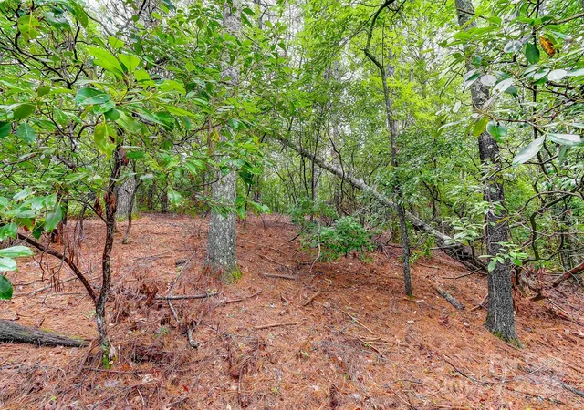 Photo 3 of Land for sale at 99999 Thunder Rd, Brevard, NC 28712 | MLS# 4295593 | Listing updated on 2026-08-13