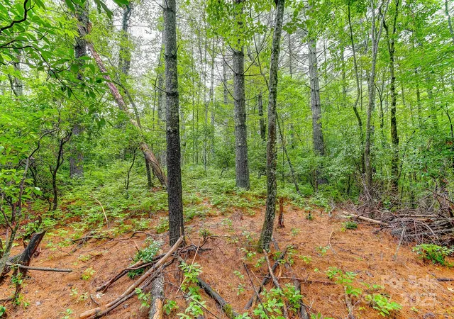 Photo 4 of Land for sale at 99999 Thunder Rd, Brevard, NC 28712 | MLS# 4295593 | Listing updated on 2026-08-13