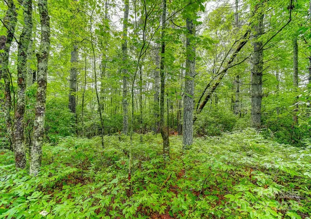 Photo 5 of Land for sale at 99999 Thunder Rd, Brevard, NC 28712 | MLS# 4295593 | Listing updated on 2026-08-13