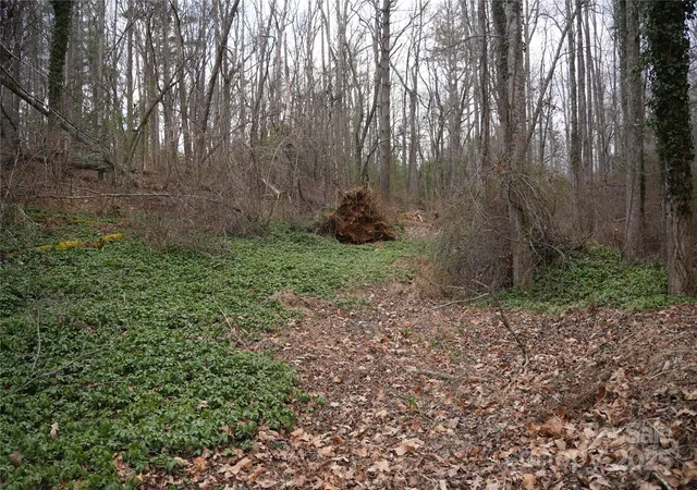 1st image of 741 Glenn Bridge Rd, Arden, NC 28704 | MLS# 4295625