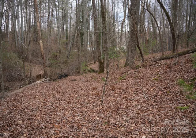 3rd image of 741 Glenn Bridge Rd, Arden, NC 28704 | MLS# 4295625
