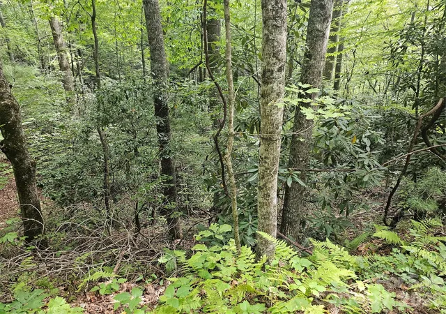 Photo 3 of Land for sale at 99999 Majestic Tr #25, Hendersonville, NC 28739 | MLS# 4296480 | Listing updated on 2026-10-02