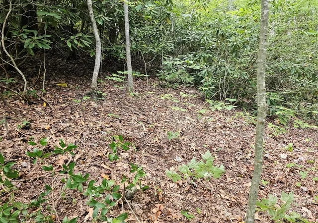 Photo 3 of Land for sale at 99999 Majestic Tr #25, Hendersonville, NC 28739 | MLS# 4296480 | Listing updated on 2026-10-02