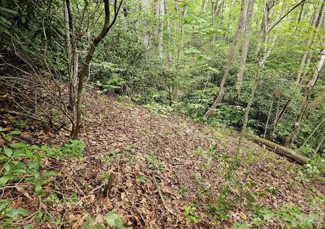 Photo 4 of Land for sale at 99999 Majestic Tr #25, Hendersonville, NC 28739 | MLS# 4296480 | Listing updated on 2026-10-02