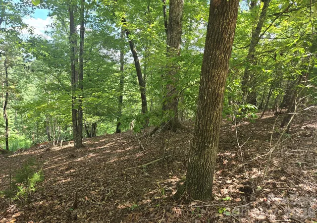 Photo 3 of Land for sale at Lot 34 Hawks Nest Trl, Lake Lure, NC 28746 | MLS# 4296708 | Listing updated on 2026-10-06
