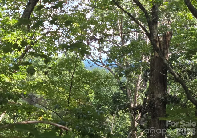 Photo 4 of Land for sale at Lot 34 Hawks Nest Trl, Lake Lure, NC 28746 | MLS# 4296708 | Listing updated on 2026-10-06