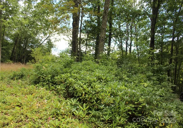 Photo 19 of Land for sale at 920 Autumn Dr, Maggie Valley, NC 28751 | MLS# 4296898 | Listing updated on 2026-08-12