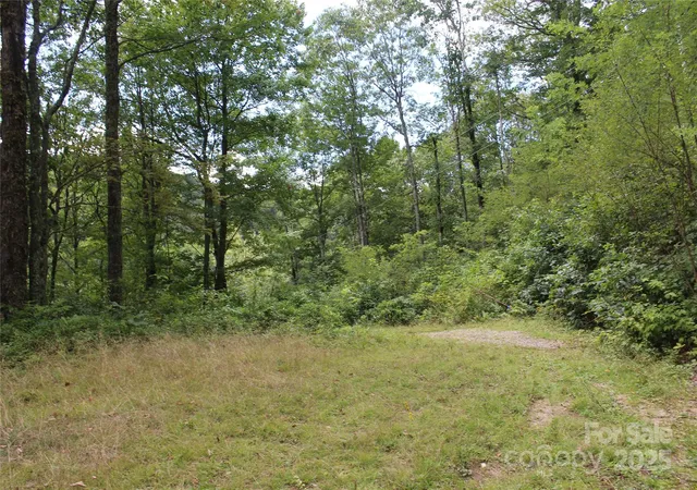 Photo 2 of Land for sale at 920 Autumn Dr, Maggie Valley, NC 28751 | MLS# 4296898 | Listing updated on 2026-08-12