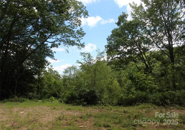 Photo 5 of Land for sale at 920 Autumn Dr, Maggie Valley, NC 28751 | MLS# 4296898 | Listing updated on 2026-08-12