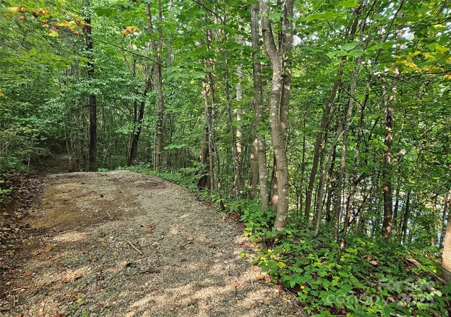 Photo 3 of Land for sale at 112 Steinwald Trl, Waynesville, NC 28786 | MLS# 4297230 | Listing updated on 2026-09-07