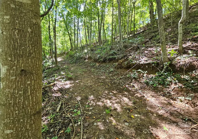 Photo 3 of Land for sale at 112 Steinwald Trl, Waynesville, NC 28786 | MLS# 4297230 | Listing updated on 2026-09-07