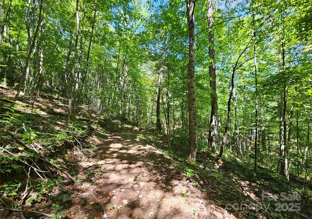 Photo 4 of Land for sale at 112 Steinwald Trl, Waynesville, NC 28786 | MLS# 4297230 | Listing updated on 2026-09-07