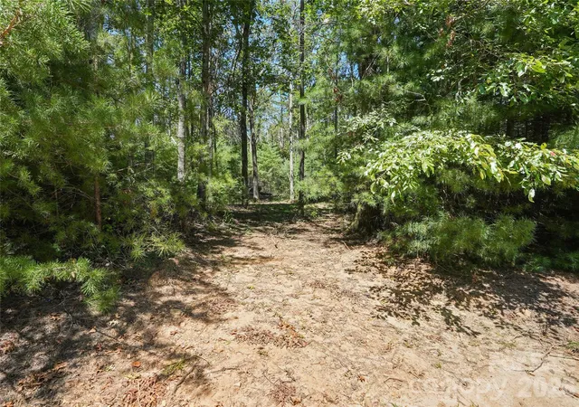 Photo 2 of Land for sale at 15 Mirehouse Run, Asheville, NC 28803 | MLS# 4297687 | Listing updated on 2026-10-01