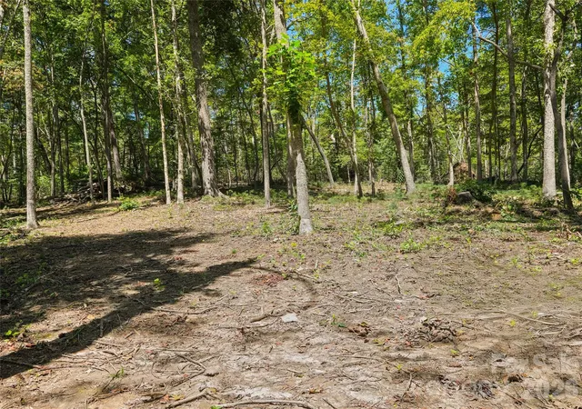 Photo 3 of Land for sale at 15 Mirehouse Run, Asheville, NC 28803 | MLS# 4297687 | Listing updated on 2026-10-01