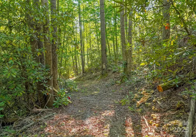 4th image of Lot 4 Rosewood Ln, Burnsville, NC 28714 | MLS# 4297936