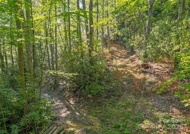5th image of Lot 4 Rosewood Ln, Burnsville, NC 28714 | MLS# 4297936