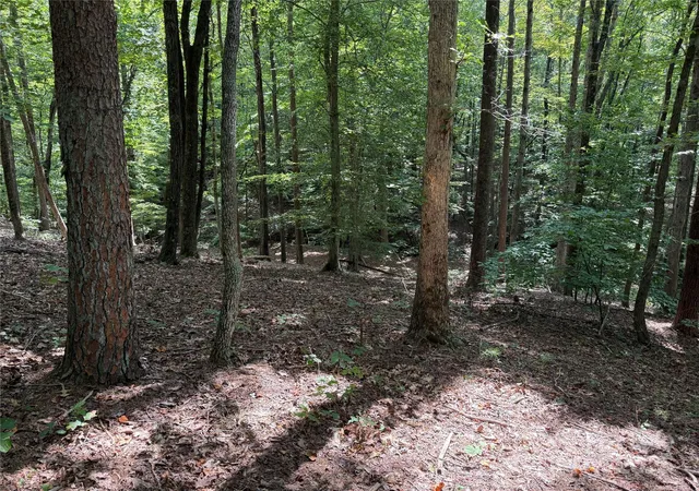 1st image of 0 Mountain Brook Trl #298, Nebo, NC 28761 | MLS# 4298198