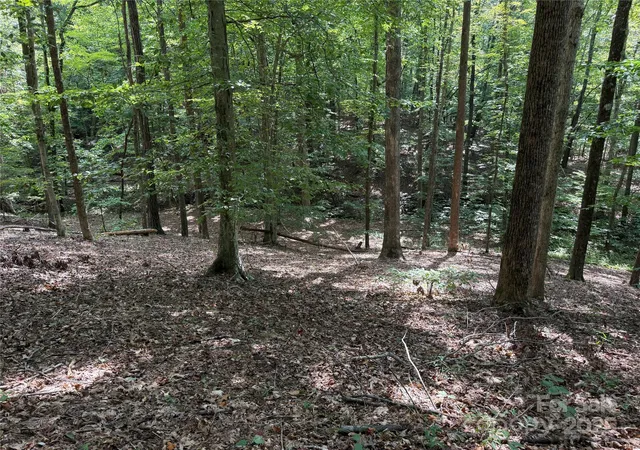 2nd image of 0 Mountain Brook Trl #298, Nebo, NC 28761 | MLS# 4298198