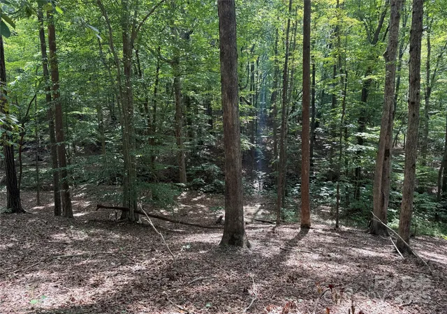 3rd image of 0 Mountain Brook Trl #298, Nebo, NC 28761 | MLS# 4298198