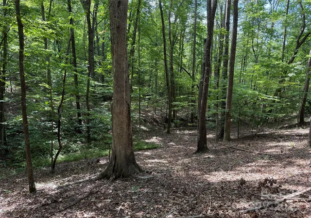 4th image of 0 Mountain Brook Trl #298, Nebo, NC 28761 | MLS# 4298198