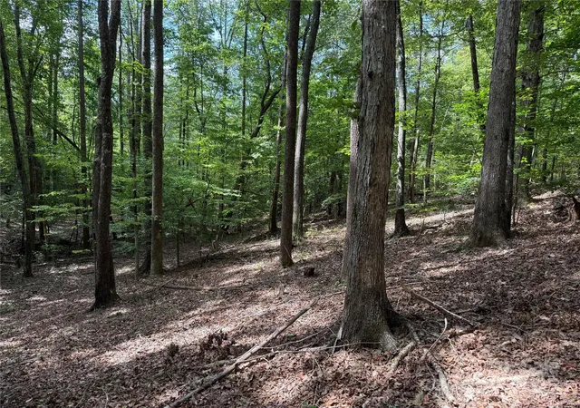 5th image of 0 Mountain Brook Trl #298, Nebo, NC 28761 | MLS# 4298198