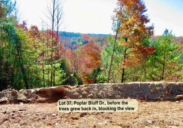 Homes for sale in Lenoir, NC | 331 Acres, Lot 37 Poplar Bluff Dr Se #37, Lenoir, NC 28645 | MLS# 4298452