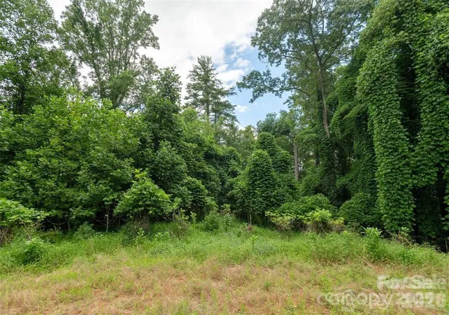 Homes for sale in Hendersonville, NC | 00 Willow Brook Falls #3, Hendersonville, NC 28739 | MLS# 4298556