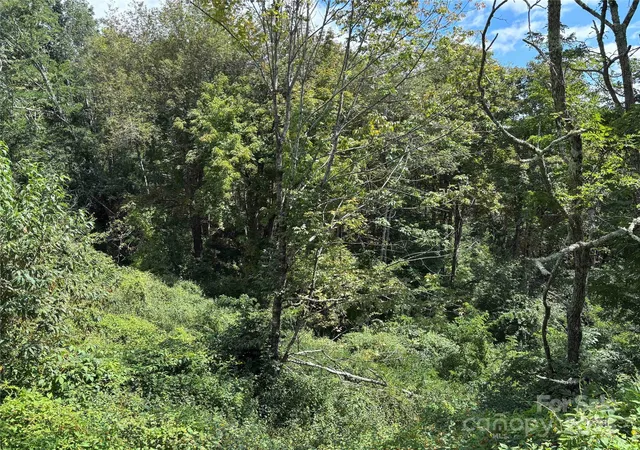 Photo 3 of Land for sale at Tbd Linhigh Dr #66, Newland, NC 28657 | MLS# 4298877 | Listing updated on 2026-09-03
