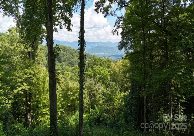 Photo 3 of Land for sale at 2222 Sleepy Holw Dr, Waynesville, NC 28785 | MLS# 4299152 | Listing updated on 2026-08-04