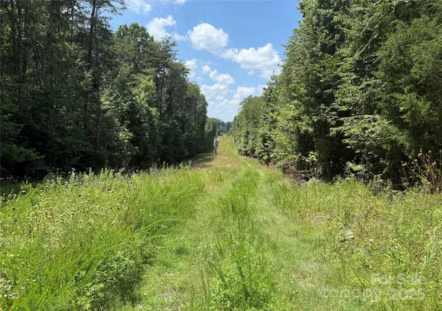 4th image of 0 Pine River Trl, Clemmons, NC 27012 | MLS# 4299764