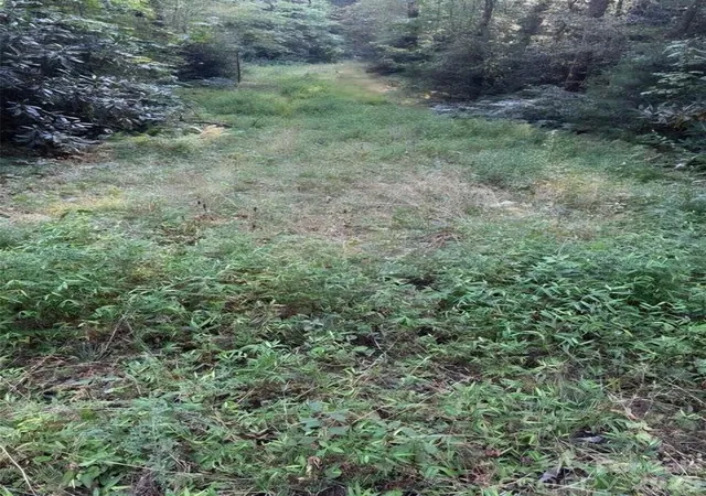 Photo 3 of Land for sale at 00 Beaumont Dr, Hendersonville, NC | MLS# 4299812 | Listing updated on 2026-10-01