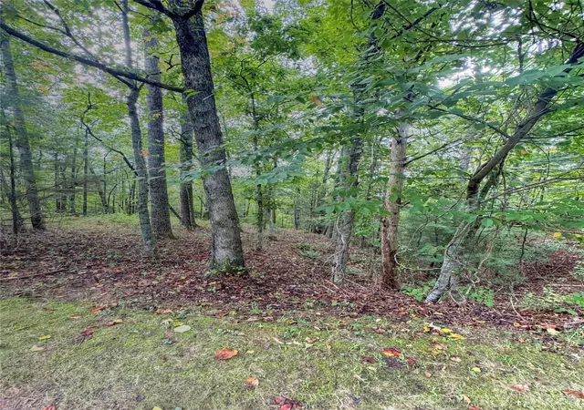 Photo 3 of Land for sale at 110 Stone Valley Way #20, Hendersonville, NC 28792 | MLS# 4299974 | Listing updated on 2026-09-25