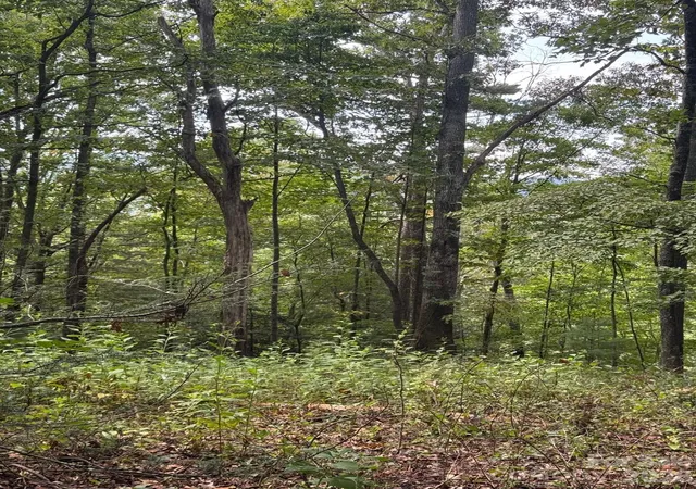 Photo 4 of Land for sale at 110 Stone Valley Way #20, Hendersonville, NC 28792 | MLS# 4299974 | Listing updated on 2026-09-25