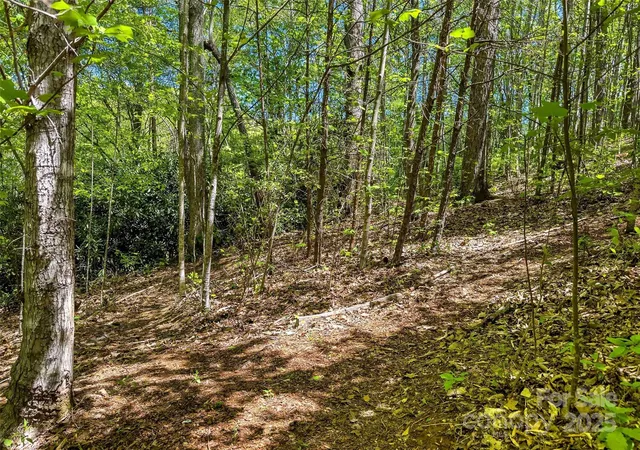 Photo 1 of Land for sale at Tbd Hunting Lodge Dr #9, Black Mountain, NC 28711 | MLS# 4300284 | Listing updated on 2026-07-31