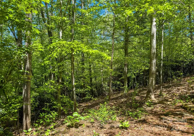 Photo 2 of Land for sale at Tbd Hunting Lodge Dr #9, Black Mountain, NC 28711 | MLS# 4300284 | Listing updated on 2026-07-31