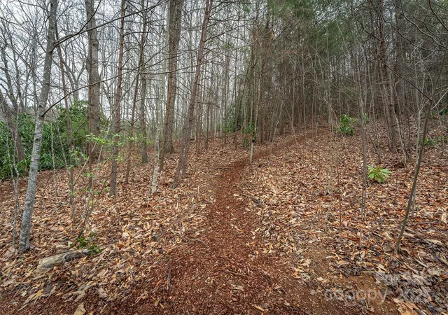 Photo 10 of Land for sale at Tbd Hunting Lodge Dr #9, Black Mountain, NC 28711 | MLS# 4300284 | Listing updated on 2026-07-31