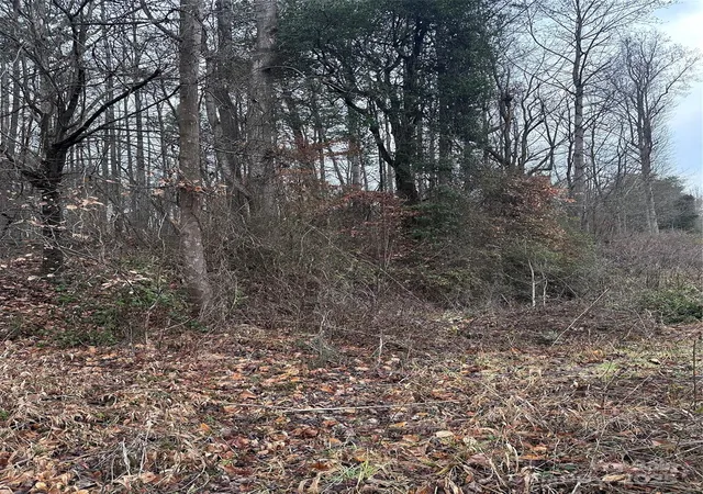 3rd image of 000 S State St, Yadkinville, NC 27055 | MLS# 4300346